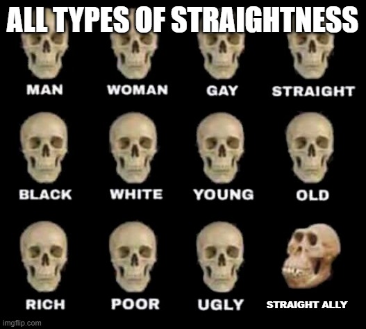 All types of straightness | ALL TYPES OF STRAIGHTNESS; STRAIGHT ALLY | image tagged in man woman gay straight skull,straightness,pride | made w/ Imgflip meme maker