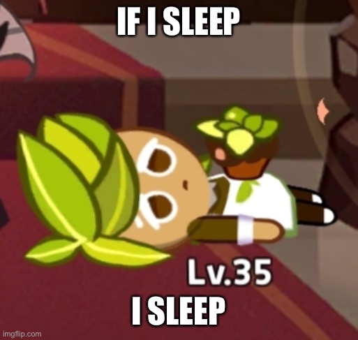 die | IF I SLEEP; I SLEEP | image tagged in herb cookies lying | made w/ Imgflip meme maker