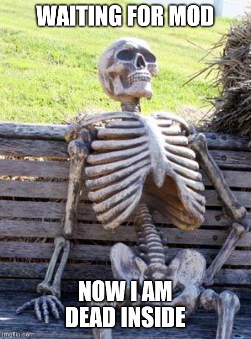 Waiting..... | WAITING FOR MOD; NOW I AM DEAD INSIDE | image tagged in memes,waiting skeleton | made w/ Imgflip meme maker