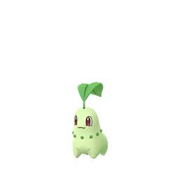 Pokemon go chikorita Blank Meme Template