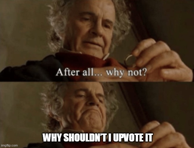 After all.. why not? | WHY SHOULDN’T I UPVOTE IT | image tagged in after all why not | made w/ Imgflip meme maker