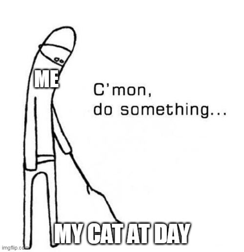 cmon do something | ME; MY CAT AT DAY | image tagged in cmon do something,cats | made w/ Imgflip meme maker
