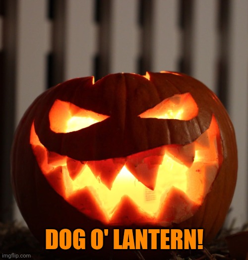 Jack O Lantern | DOG O' LANTERN! | image tagged in jack o lantern | made w/ Imgflip meme maker