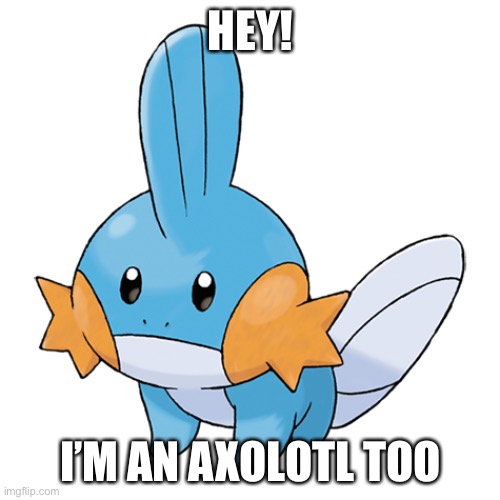 Mudkip | HEY! I’M AN AXOLOTL TOO | image tagged in mudkip | made w/ Imgflip meme maker