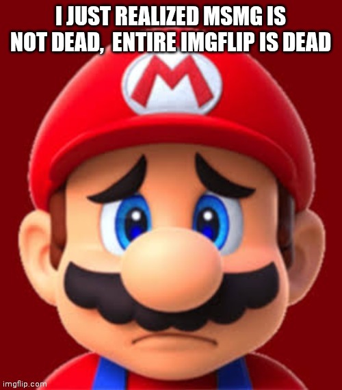 Bc other streams are dead too. | I JUST REALIZED MSMG IS NOT DEAD,  ENTIRE IMGFLIP IS DEAD | image tagged in sad mario | made w/ Imgflip meme maker
