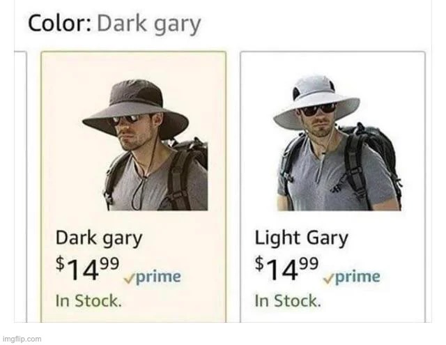 The two Garys' | image tagged in memes,unfunny,gary | made w/ Imgflip meme maker