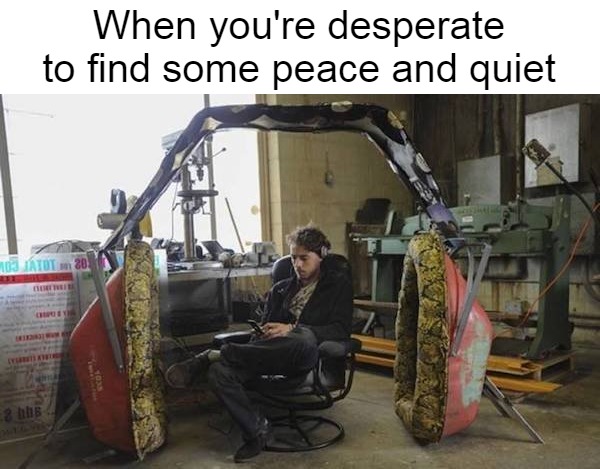 Absolutely No Disturbances | When you're desperate to find some peace and quiet | image tagged in meme,memes | made w/ Imgflip meme maker