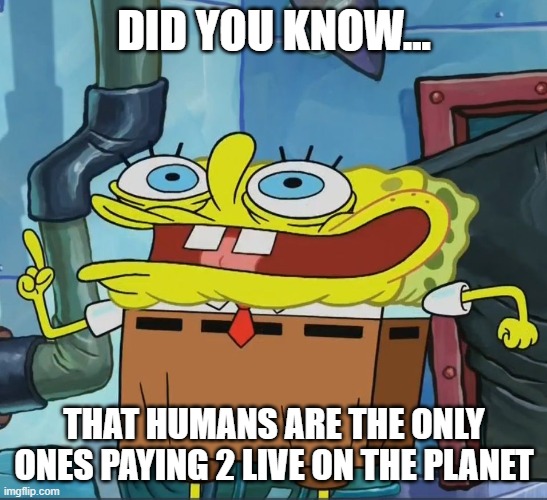 #Facts! | DID YOU KNOW... THAT HUMANS ARE THE ONLY ONES PAYING 2 LIVE ON THE PLANET | image tagged in did you know | made w/ Imgflip meme maker