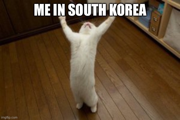 Victory Monday | ME IN SOUTH KOREA | image tagged in victory monday | made w/ Imgflip meme maker