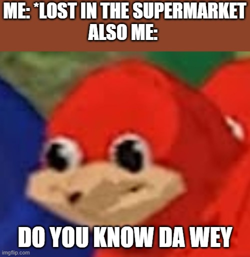 do you know da wey  | ME: *LOST IN THE SUPERMARKET
ALSO ME:; DO YOU KNOW DA WEY | image tagged in do you know da wey | made w/ Imgflip meme maker