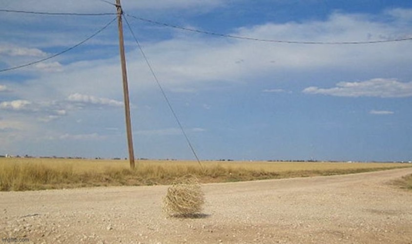 Tumbleweed | image tagged in tumbleweed | made w/ Imgflip meme maker