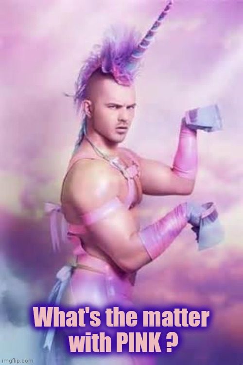 Gay Unicorn | What's the matter
 with PINK ? | image tagged in gay unicorn | made w/ Imgflip meme maker