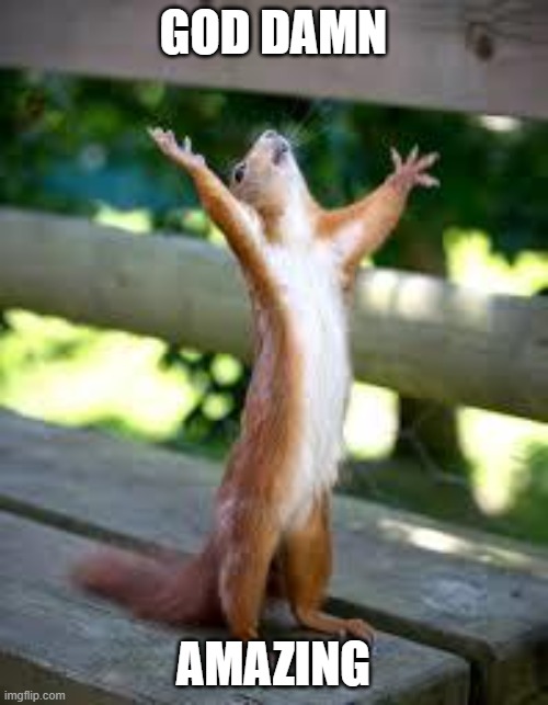 Praise Squirrel | GOD DAMN AMAZING | image tagged in praise squirrel | made w/ Imgflip meme maker