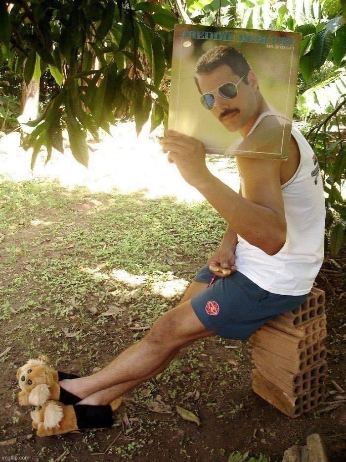 Freddie Mercury photobomb | image tagged in freddie mercury photobomb | made w/ Imgflip meme maker