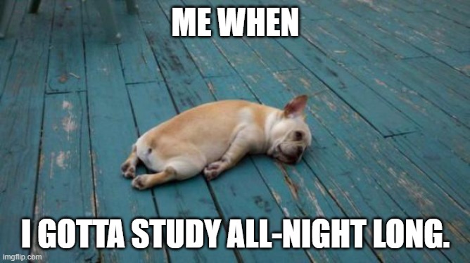 *Sigh Oh my god... |  ME WHEN; I GOTTA STUDY ALL-NIGHT LONG. | image tagged in tired dog,well shit,oof | made w/ Imgflip meme maker