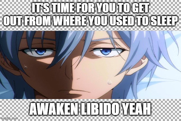 IT'S TIME FOR YOU TO GET OUT FROM WHERE YOU USED TO SLEEP; AWAKEN LIBIDO YEAH; JMM | image tagged in striketheblood | made w/ Imgflip meme maker