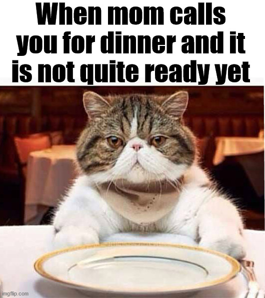 Food is not ready so you just sit there like this. | When mom calls you for dinner and it is not quite ready yet | image tagged in dinner,sitting,moms | made w/ Imgflip meme maker
