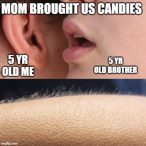 Whisper and Goosebumps | MOM BROUGHT US CANDIES; 5 YR OLD ME; 5 YR OLD BROTHER | image tagged in whisper and goosebumps | made w/ Imgflip meme maker