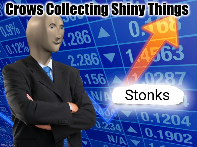 Invest in the Nest | Crows Collecting Shiny Things; Stonks | image tagged in empty stonks,crows,money,funny | made w/ Imgflip meme maker