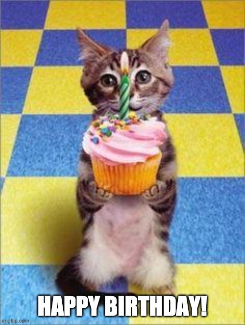 Happy Birthday Cat | HAPPY BIRTHDAY! | image tagged in happy birthday cat | made w/ Imgflip meme maker