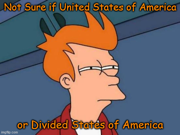 See Video In Comment... | Not Sure if United States of America; or Divided States of America | image tagged in political memes,futurama fry,usa,united states of america,cultural marxism,communism | made w/ Imgflip meme maker