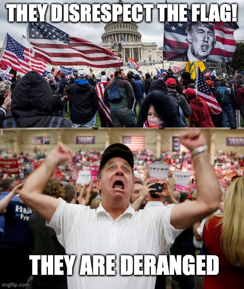 THEY DISRESPECT THE FLAG! THEY ARE DERANGED | image tagged in capitol hill riot,trump supporter triggered | made w/ Imgflip meme maker