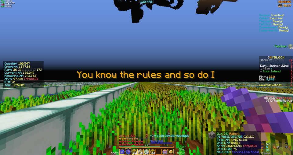High Quality Rick roll, hypixel variation Blank Meme Template