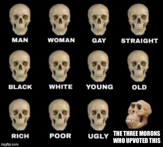idiot skull | THE THREE MORONS WHO UPVOTED THIS | image tagged in idiot skull | made w/ Imgflip meme maker