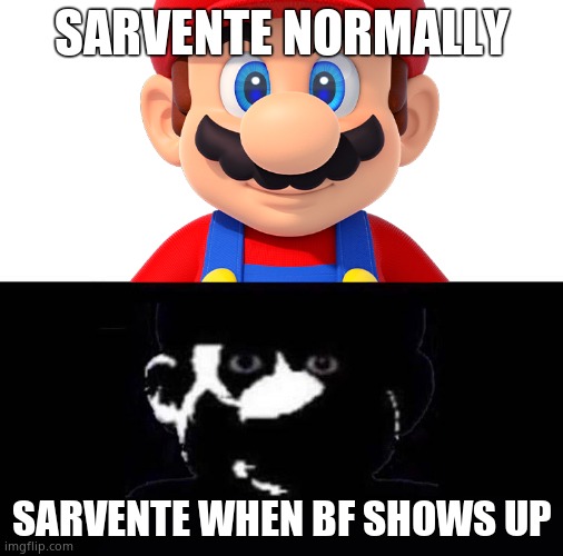 Warning - bring holy water | SARVENTE NORMALLY; SARVENTE WHEN BF SHOWS UP | image tagged in lightside mario vs darkside mario | made w/ Imgflip meme maker
