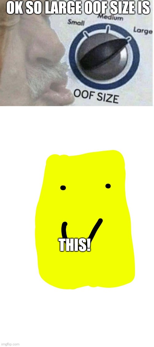 oof size=this | OK SO LARGE OOF SIZE IS; THIS! | image tagged in oof size large | made w/ Imgflip meme maker