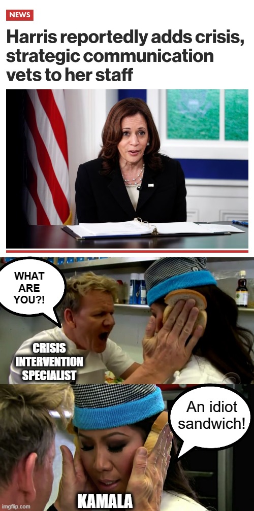 Let's hope they can help! | WHAT ARE YOU?! CRISIS INTERVENTION SPECIALIST; An idiot sandwich! KAMALA | image tagged in gordon ramsay idiot sandwich,memes,kamala harris,crisis intervention,democrats,team biden | made w/ Imgflip meme maker