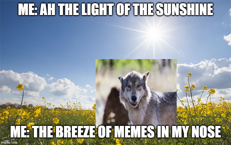 Sunshine | ME: AH THE LIGHT OF THE SUNSHINE; ME: THE BREEZE OF MEMES IN MY NOSE | image tagged in sunshine | made w/ Imgflip meme maker