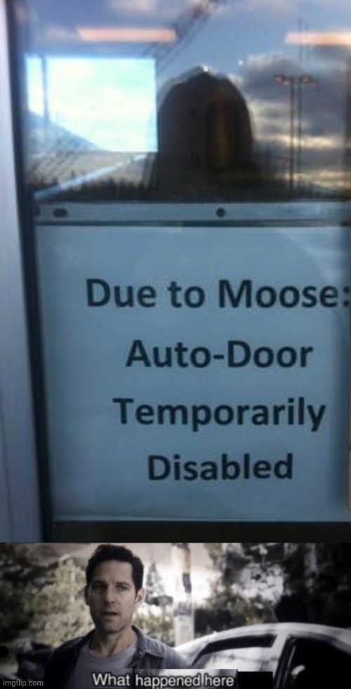 Meanwhile in Canada | image tagged in what happened here,reposts,repost,funny signs,moose,memes | made w/ Imgflip meme maker