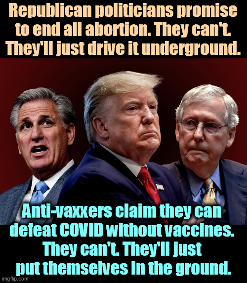 Republicans. So much fantasy. So much stupidity. | Republican politicians promise to end all abortion. They can't. They'll just drive it underground. Anti-vaxxers claim they can 
defeat COVID without vaccines. 
They can't. They'll just 
put themselves in the ground. | image tagged in mccarthy trump mcconnell evil bad for america,republicans,abortion,anti vax,fantasy,stupidity | made w/ Imgflip meme maker