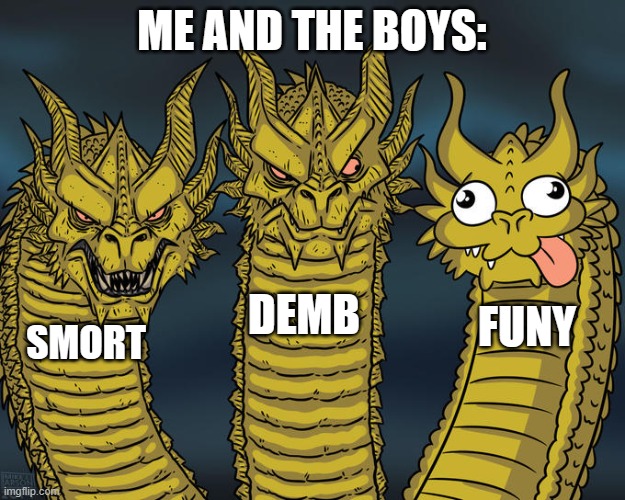 Three-headed Dragon | ME AND THE BOYS:; DEMB; FUNY; SMORT | image tagged in three-headed dragon | made w/ Imgflip meme maker