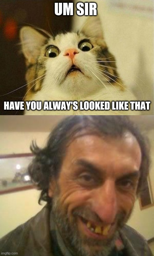 UM SIR; HAVE YOU ALWAYS LOOKED LIKE THAT | image tagged in memes,scared cat,ugly guy | made w/ Imgflip meme maker