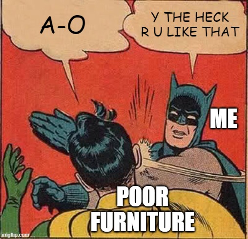 Batman Slapping Robin Meme | A-O Y THE HECK R U LIKE THAT ME POOR FURNITURE | image tagged in memes,batman slapping robin | made w/ Imgflip meme maker