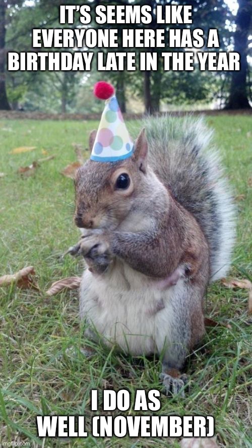 Super Birthday Squirrel | IT’S SEEMS LIKE EVERYONE HERE HAS A BIRTHDAY LATE IN THE YEAR; I DO AS WELL (NOVEMBER) | image tagged in memes,super birthday squirrel | made w/ Imgflip meme maker