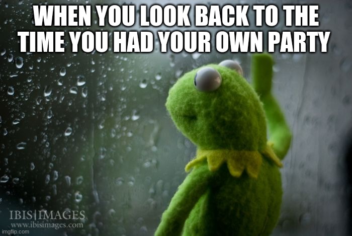 kermit window | WHEN YOU LOOK BACK TO THE TIME YOU HAD YOUR OWN PARTY | image tagged in kermit window | made w/ Imgflip meme maker