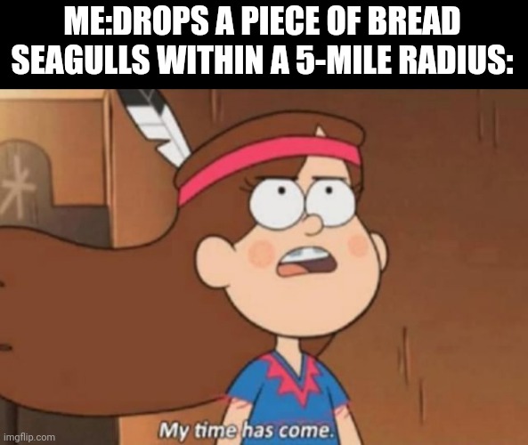 My time has come | ME:DROPS A PIECE OF BREAD
SEAGULLS WITHIN A 5-MILE RADIUS: | image tagged in my time has come- gravity falls | made w/ Imgflip meme maker