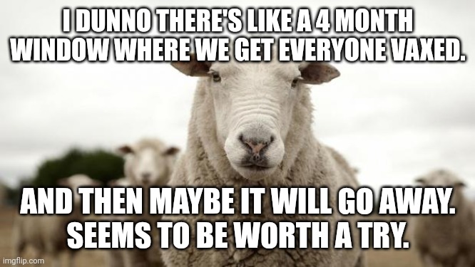 Sheep | I DUNNO THERE'S LIKE A 4 MONTH WINDOW WHERE WE GET EVERYONE VAXED. AND THEN MAYBE IT WILL GO AWAY.
SEEMS TO BE WORTH A TRY. | image tagged in sheep | made w/ Imgflip meme maker