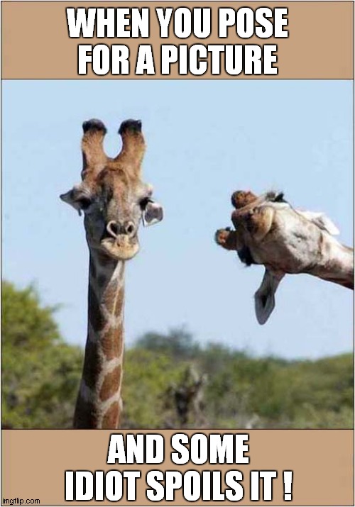 The Curse Of The Photobomb ! | WHEN YOU POSE FOR A PICTURE; AND SOME IDIOT SPOILS IT ! | image tagged in giraffe,photobomb | made w/ Imgflip meme maker