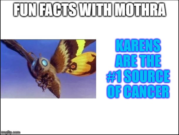 Karens are cancerous | KARENS ARE THE #1 SOURCE OF CANCER | image tagged in fun facts with mothra | made w/ Imgflip meme maker