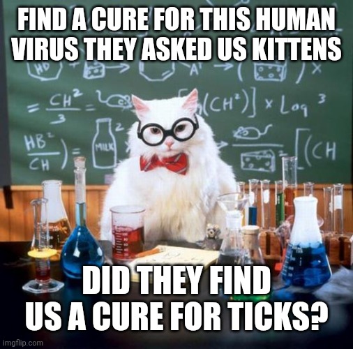 Chemistry Cat | FIND A CURE FOR THIS HUMAN VIRUS THEY ASKED US KITTENS; DID THEY FIND US A CURE FOR TICKS? | image tagged in memes,chemistry cat | made w/ Imgflip meme maker
