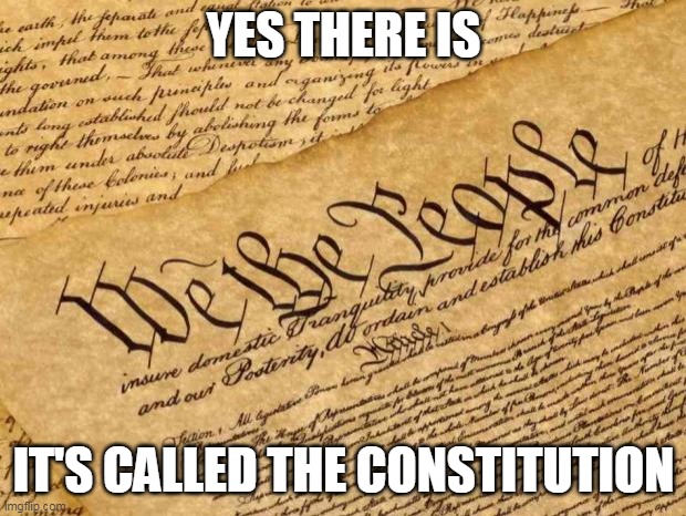 Constitution | YES THERE IS IT'S CALLED THE CONSTITUTION | image tagged in constitution | made w/ Imgflip meme maker