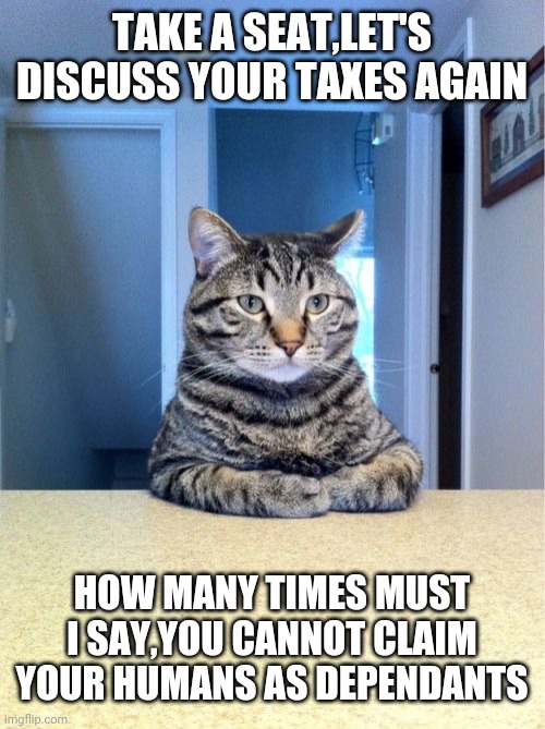 Take A Seat Cat Meme | TAKE A SEAT,LET'S DISCUSS YOUR TAXES AGAIN; HOW MANY TIMES MUST I SAY,YOU CANNOT CLAIM YOUR HUMANS AS DEPENDANTS | image tagged in memes,take a seat cat | made w/ Imgflip meme maker