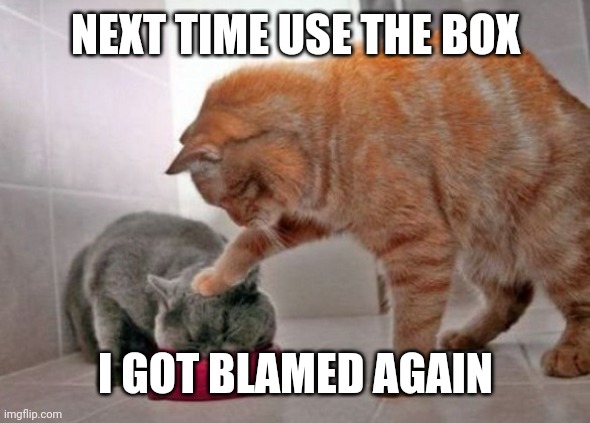 Force feed cat | NEXT TIME USE THE BOX; I GOT BLAMED AGAIN | image tagged in force feed cat | made w/ Imgflip meme maker