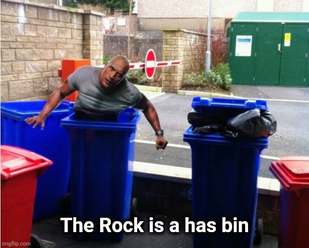 Someone threw out a perfectly good Actor | The Rock is a has bin | image tagged in the rock in the bin,cardboard,the rock,garbage | made w/ Imgflip meme maker