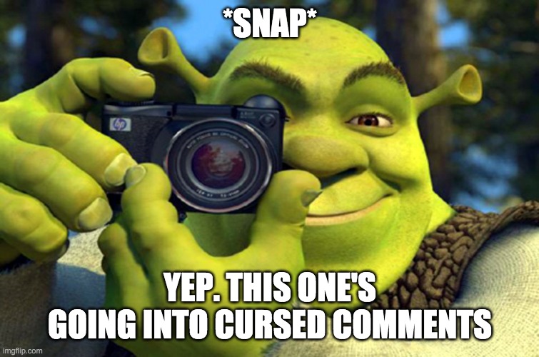 shrek camera | *SNAP* YEP. THIS ONE'S GOING INTO CURSED COMMENTS | image tagged in shrek camera | made w/ Imgflip meme maker