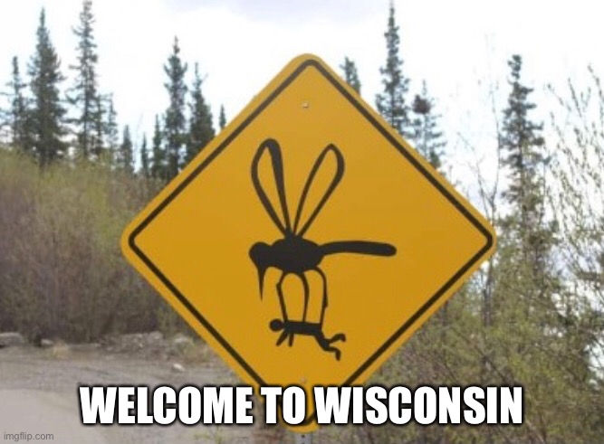 Wisconsin State Bird |  WELCOME TO WISCONSIN | image tagged in wisconsin,mosquito | made w/ Imgflip meme maker